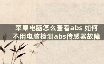 苹果电脑怎么查看abs 如何不用电脑检测abs传感器故障